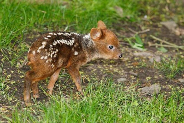 Interesting Photos (24 pics)