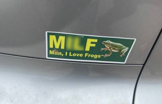 Funny Bumper Stickers (21 pics)