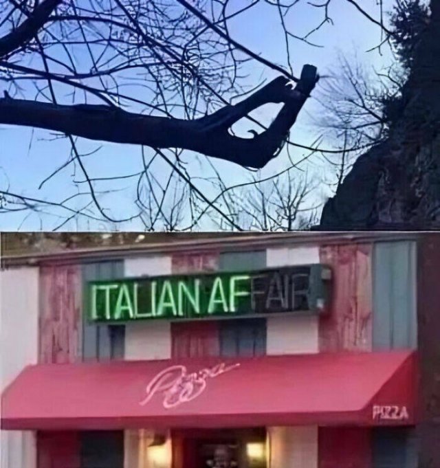 Hilarious Photos From Around The World (18 pics)