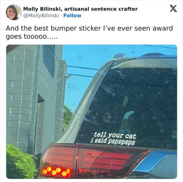 Funny Bumper Stickers (21 pics)