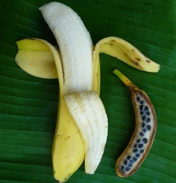 Interesting Photos (24 pics)