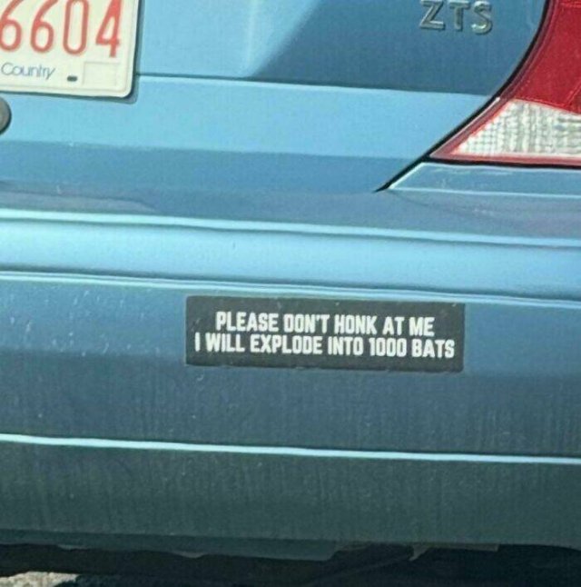 Funny Bumper Stickers (21 pics)