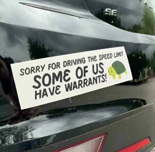 Funny Bumper Stickers (21 pics)