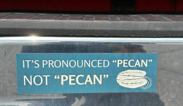 Funny Bumper Stickers (21 pics)