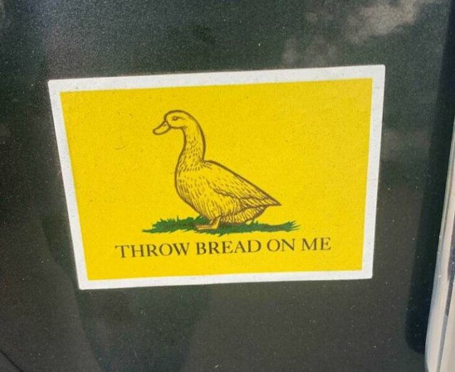Funny Bumper Stickers (21 pics)
