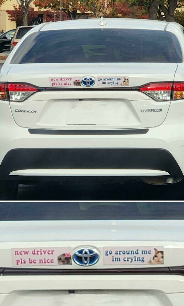 Funny Bumper Stickers (21 pics)