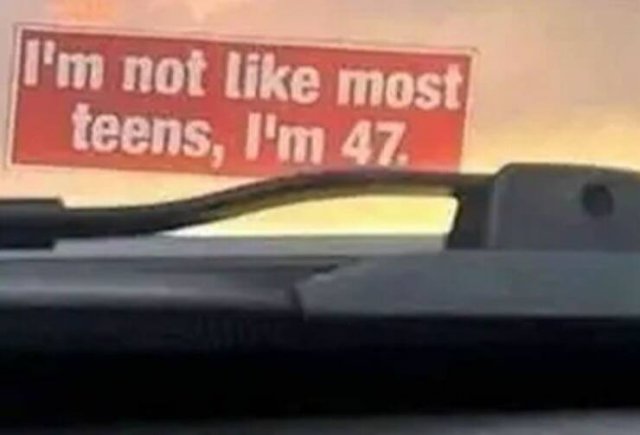 Funny Bumper Stickers (21 pics)