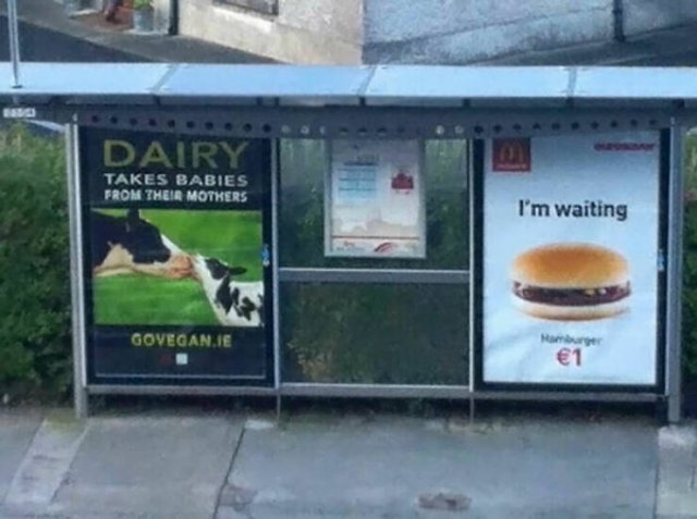Hilarious Photos From Around The World (18 pics)