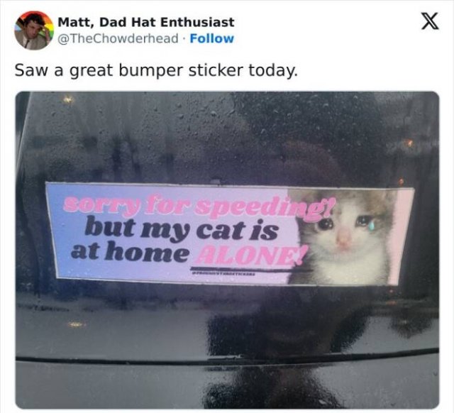 Funny Bumper Stickers (21 pics)
