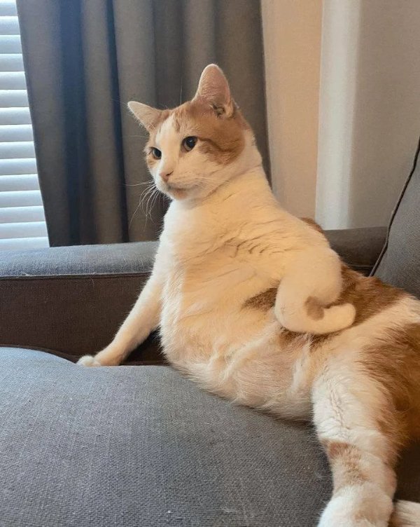 What Is Going On Here? (40 pics)
