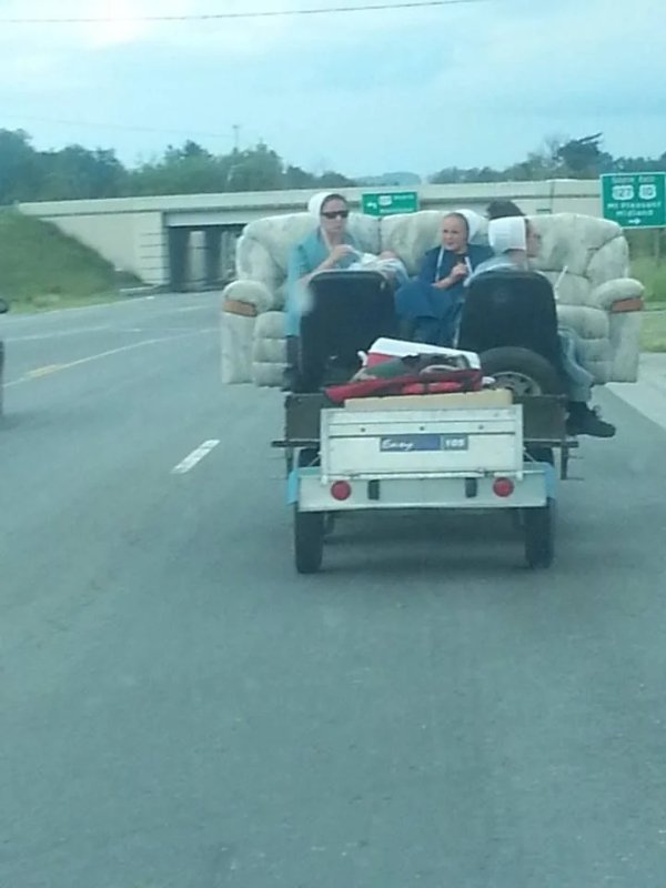 What Is Going On Here? (40 pics)