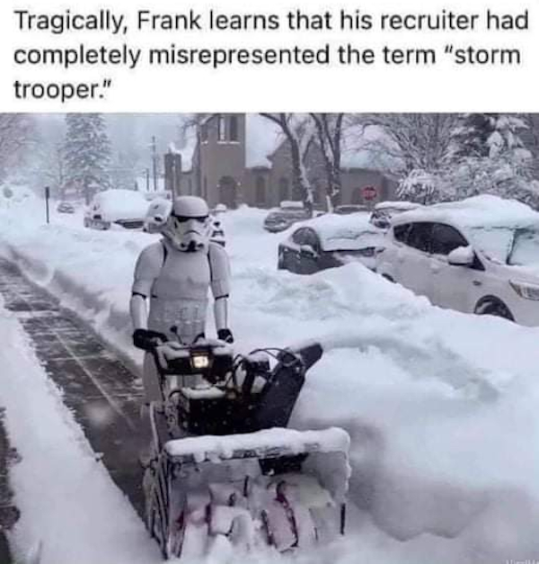 Truthful Memes (43 pics)