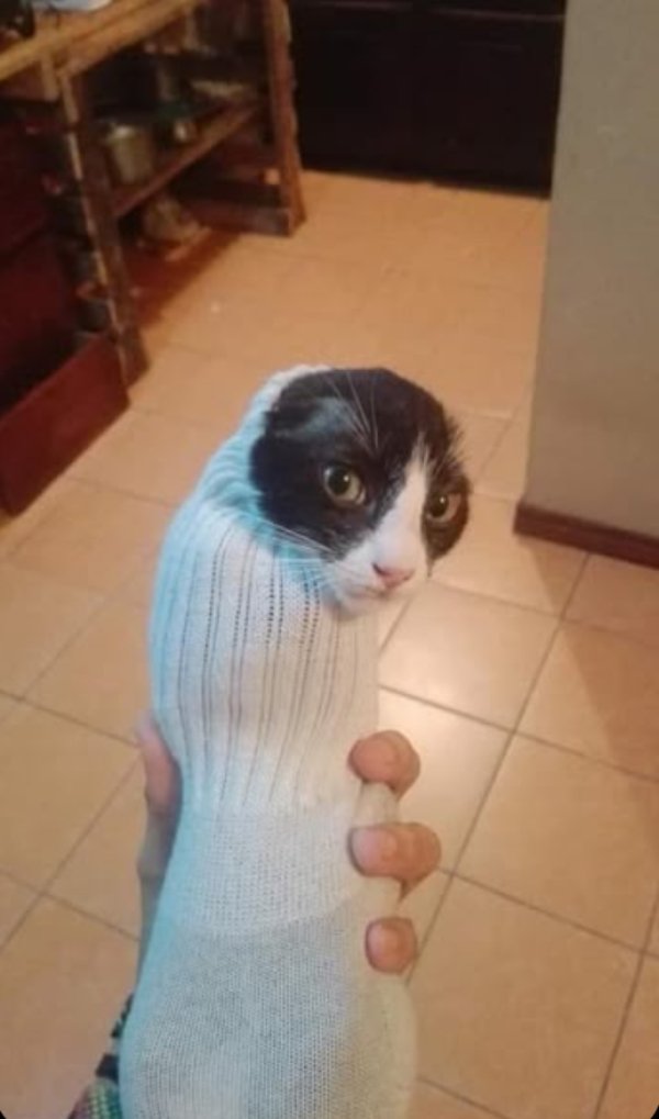 What Is Going On Here? (40 pics)