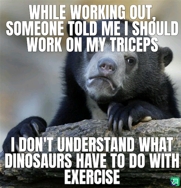 Truthful Memes (43 pics)