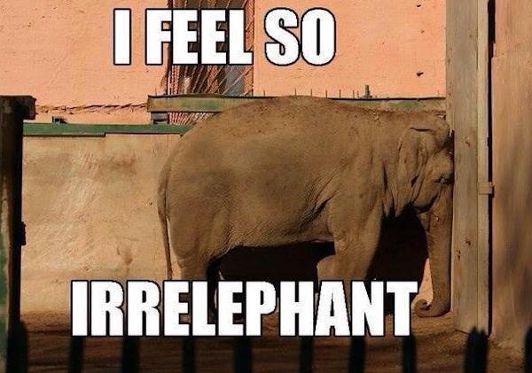Truthful Memes (43 pics)