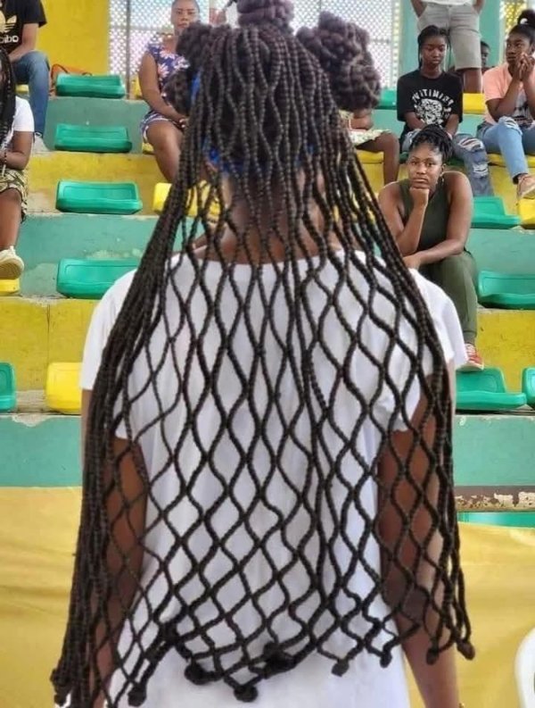 What Is Going On Here? (40 pics)
