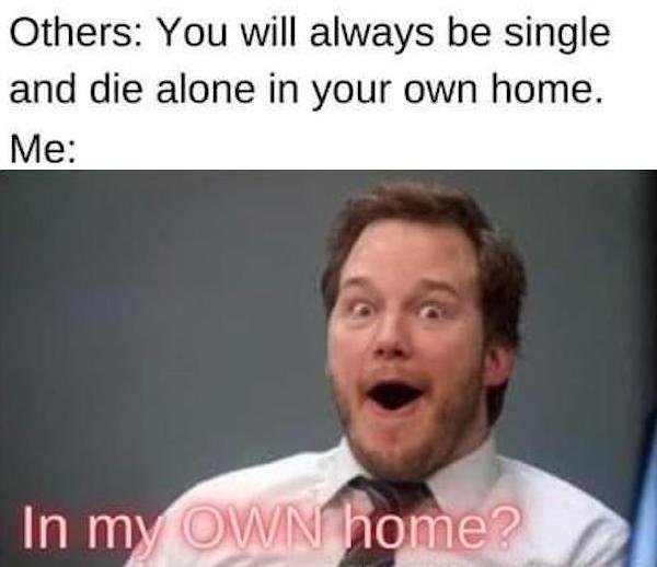 Truthful Memes (43 pics)