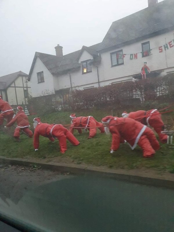 What Is Going On Here? (40 pics)