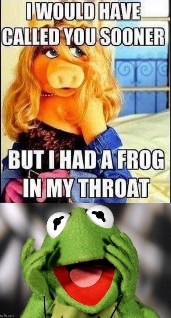 Truthful Memes (43 pics)