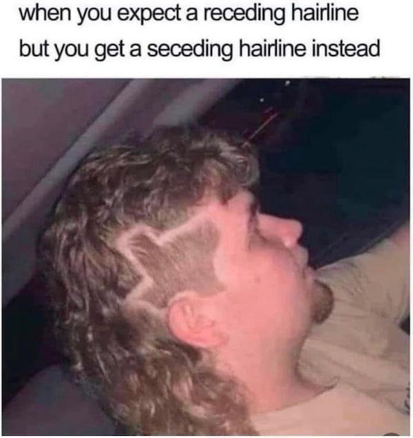 Truthful Memes (43 pics)