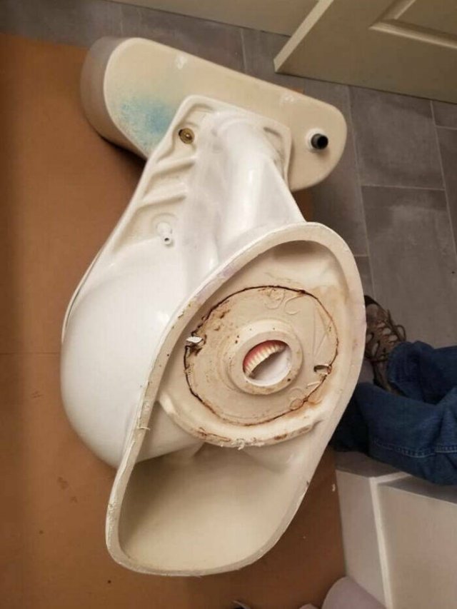 What Is Going On Here? (20 pics)