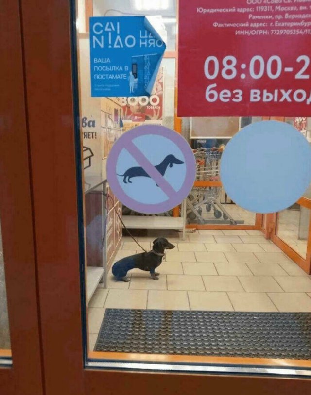 What Is Going On Here? (20 pics)