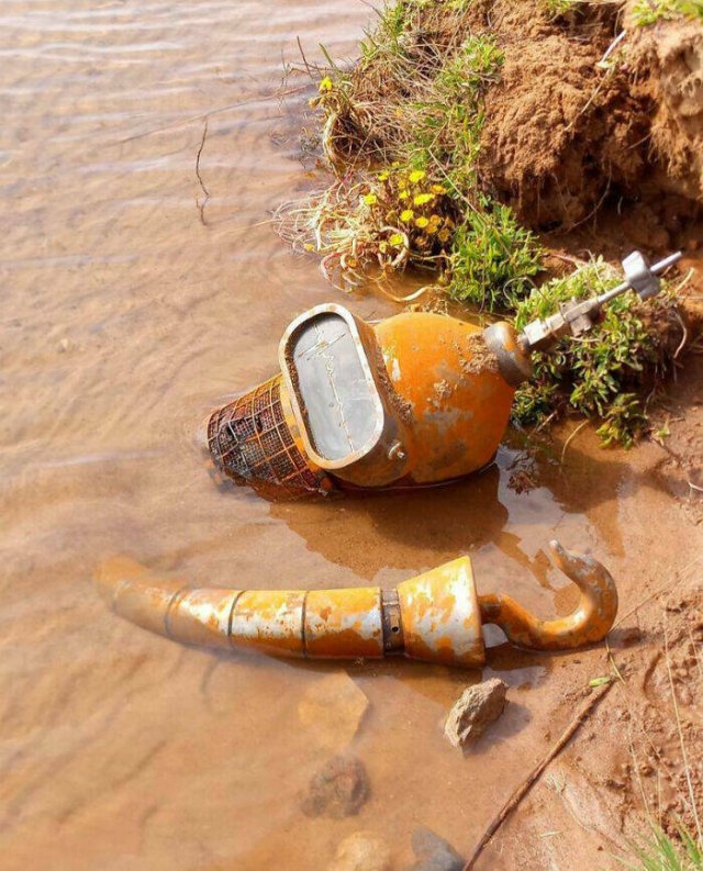 What Is Going On Here? (20 pics)