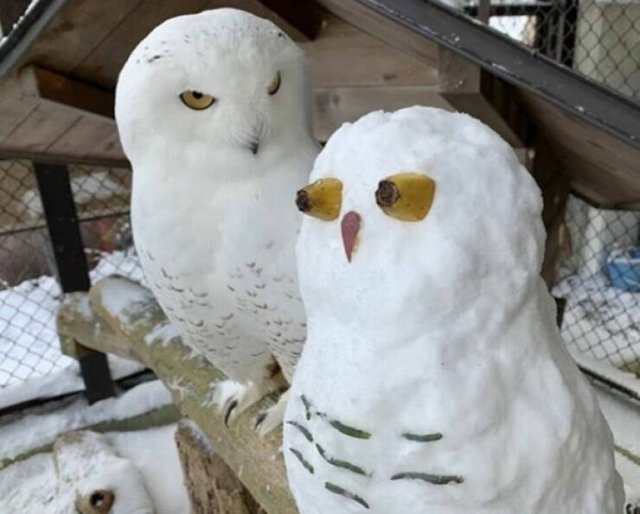 What Is Going On Here? (20 pics)