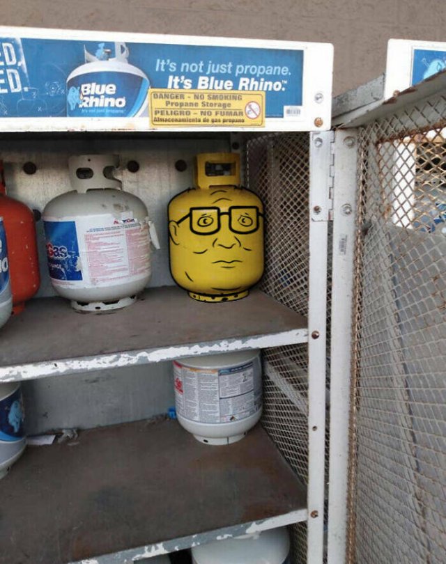 What Is Going On Here? (20 pics)