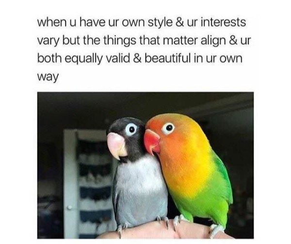 Kind Posts For A Good Mood (28 pics)