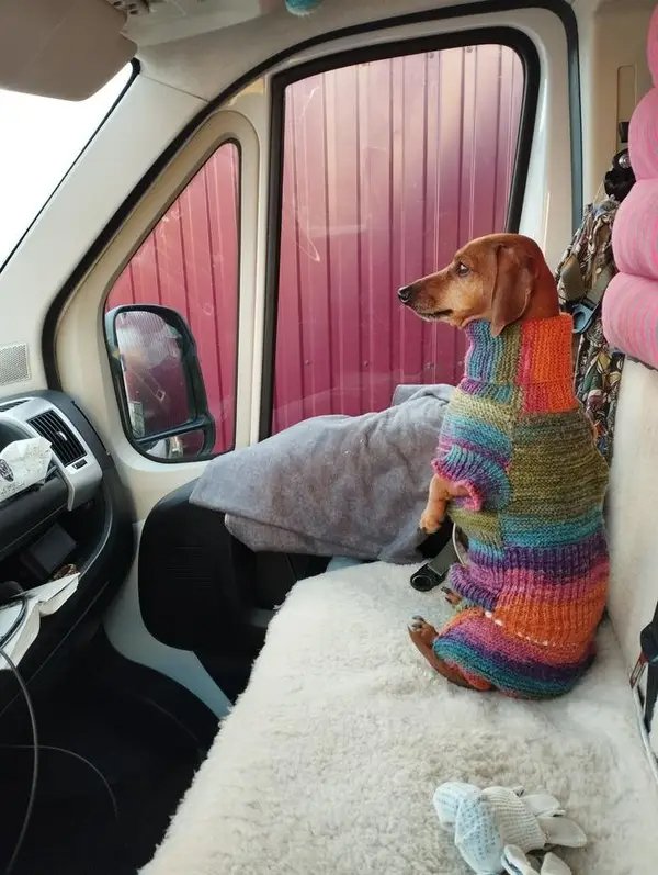 Kind Posts For A Good Mood (28 pics)