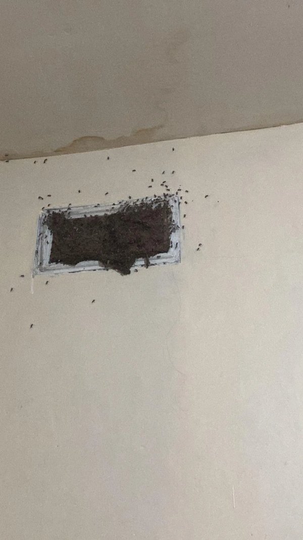Bad Days Happen (22 pics)