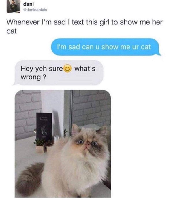 Kind Posts For A Good Mood (28 pics)