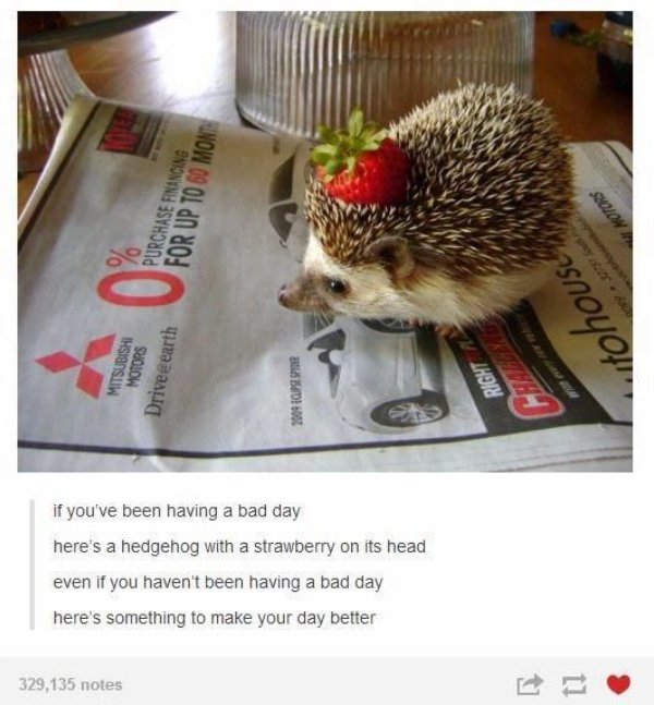 Kind Posts For A Good Mood (28 pics)