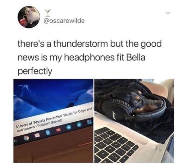 Kind Posts For A Good Mood (28 pics)