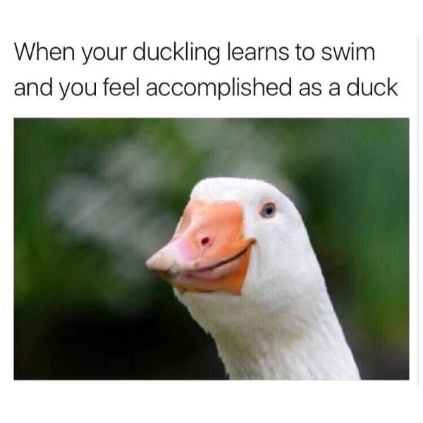 Kind Posts For A Good Mood (28 pics)