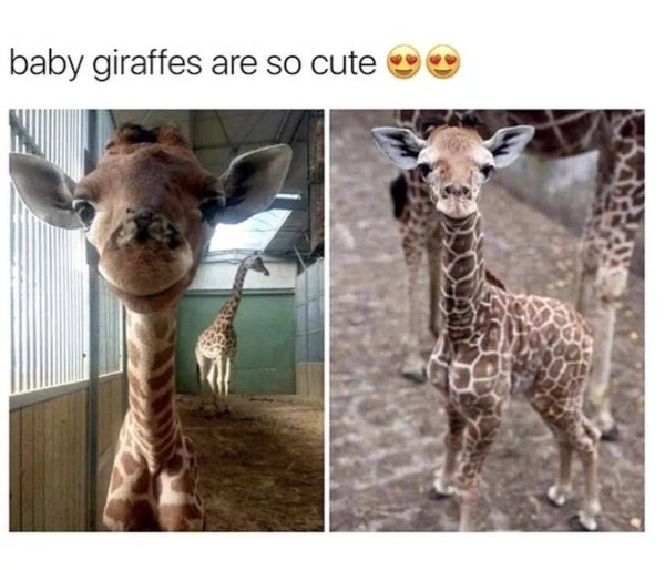 Kind Posts For A Good Mood (28 pics)
