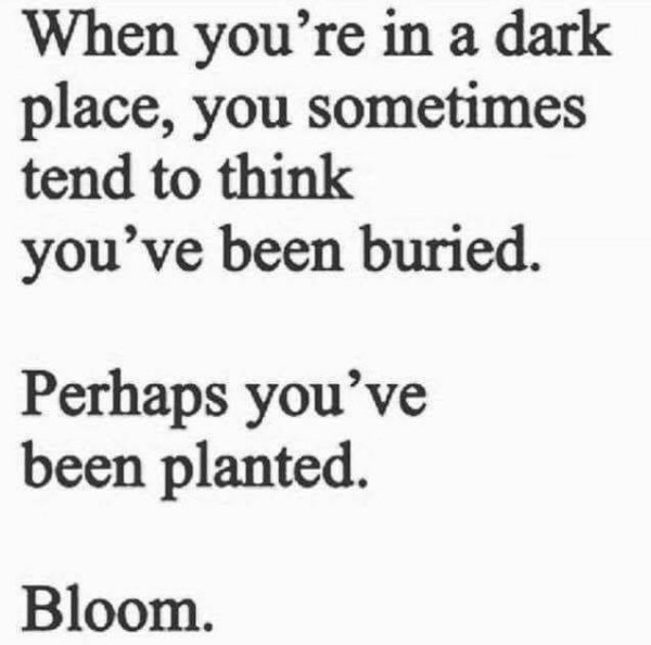 Kind Posts For A Good Mood (28 pics)