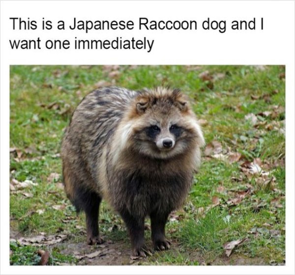 Kind Posts For A Good Mood (28 pics)