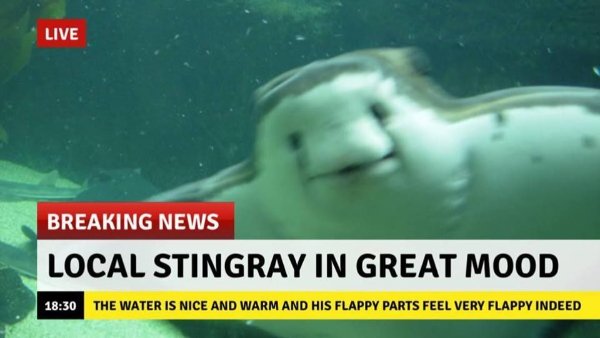 Kind Posts For A Good Mood (28 pics)