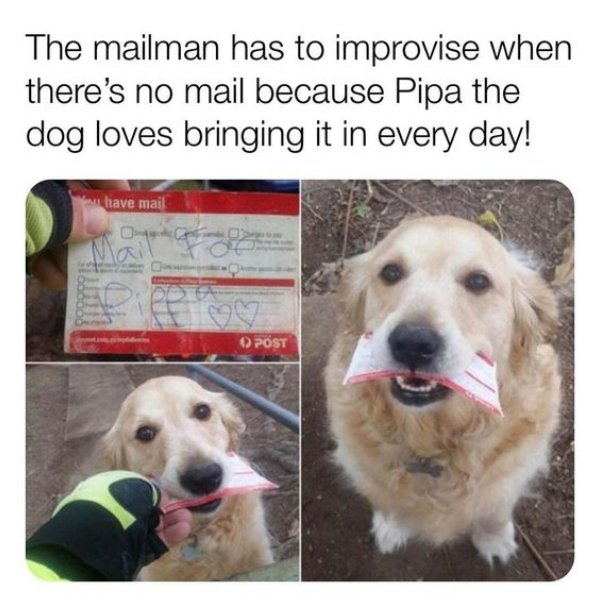 Kind Posts For A Good Mood (28 pics)