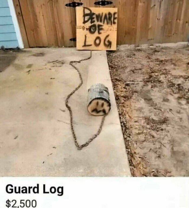What Is Going On Here? (25 pics)