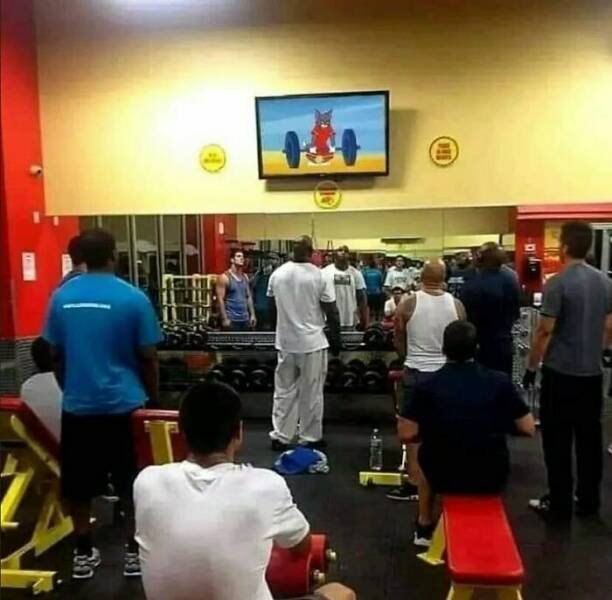 What Is Going On Here? (25 pics)