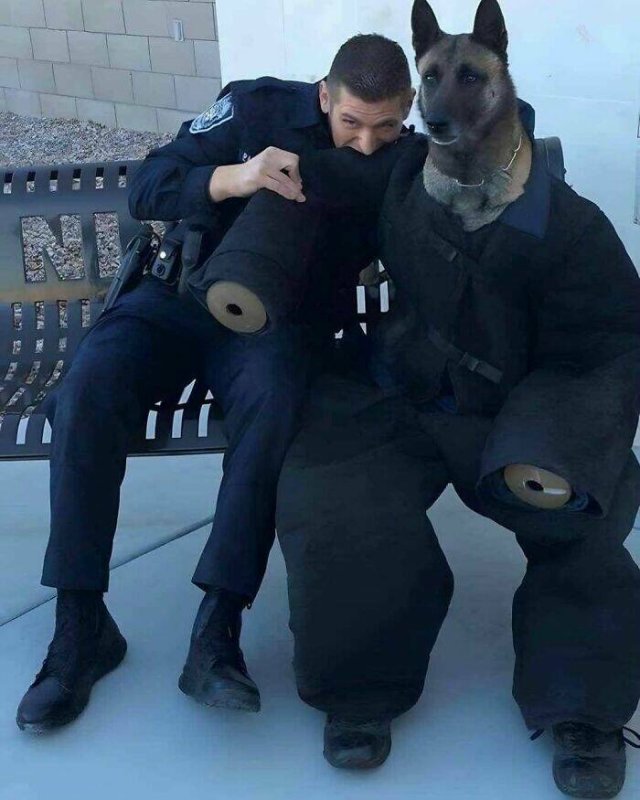 What Is Going On Here? (25 pics)