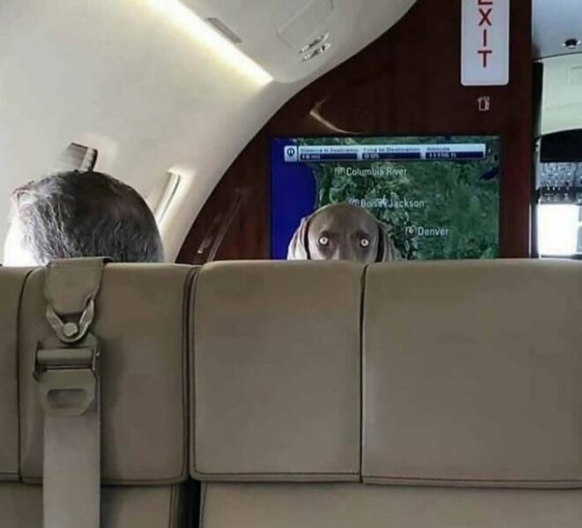 What Is Going On Here? (25 pics)