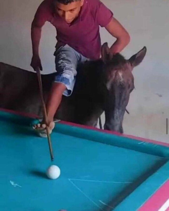 What Is Going On Here? (25 pics)