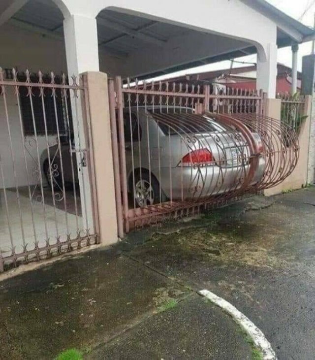 What Is Going On Here? (25 pics)