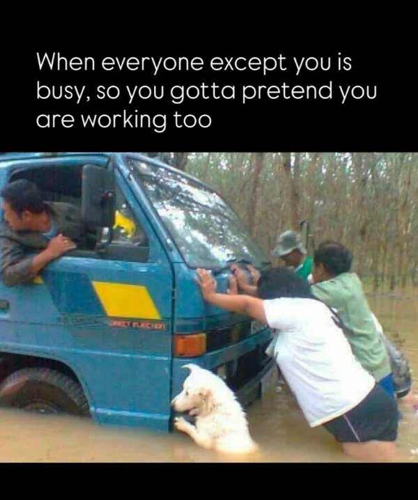 Funny Memes (31 pics)