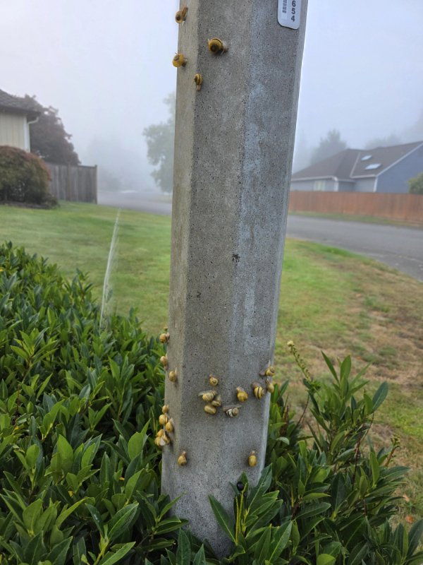 Interesting Finds And Discoveries (26 pics)