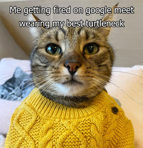 Random Memes (20 pics)